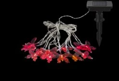 Globo SOLARLEUCHTE Schmetterling Kunststoff Transparent Schwarz, 10xRGB LED -Leuchten Verkauf 33706 10 a