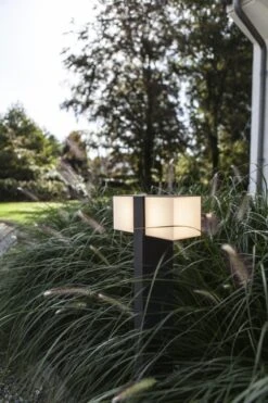 Lutec Cuba LED Wegeleuchte Anthrazit IP44 2x500lm 3000K 26x13x76cm -Leuchten Verkauf 7193801118 3