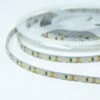 Bioledex LED Streifen 12V 15W/m 120LED/m 5000K 5m Rolle Tageslichtweiss -Leuchten Verkauf bioledex l12 7501 142 4260510481423 2 1