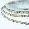 Bioledex LED Streifen 24V 15W/m 120LED/m 3300K IP65 5m Rolle Warmweiss -Leuchten Verkauf bioledex l24 75w1 149 4260510481492