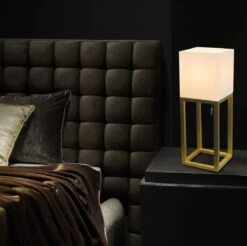 Tischleuchte Messing Matt, Beige Näve Alfa 19x65cm E27 -Leuchten Verkauf nve3131811 4