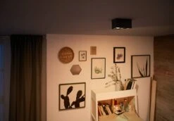 Philips Box Moderne LED Aufbauleuchte Schwarz 2-flg. 1000lm Doppelspot 20,2x10,2x10cm -Leuchten Verkauf philips box decken aufbauleuchte 5049230p0 3