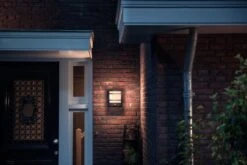 Philips MyGarden Petronia LED Außenwandleuchte Anthrazit 1200lm IP44 22,7x19x6cm Bewegungsmelder -Leuchten Verkauf philips petronia aussenlampe 1739593p0 4