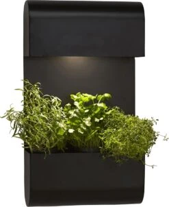 PR Home Planta Wandleuchte Für Außen U. Innen Mit Pflanzkasten Schwarz E27 IP44 70x40x14cm -Leuchten Verkauf pr home planta pflanzenkasten mit beleuchtung 1274003 1