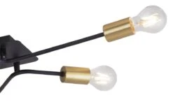 Rabalux Lanny Deckenleuchte Schwarz, Gold 6xE27 Dimmbar -Leuchten Verkauf rl2103 4