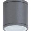 Rabalux Akron Aufbauleuchte Außen Rund Anthrazit Grau GU10 IP54 Dimmbar -Leuchten Verkauf rl8150